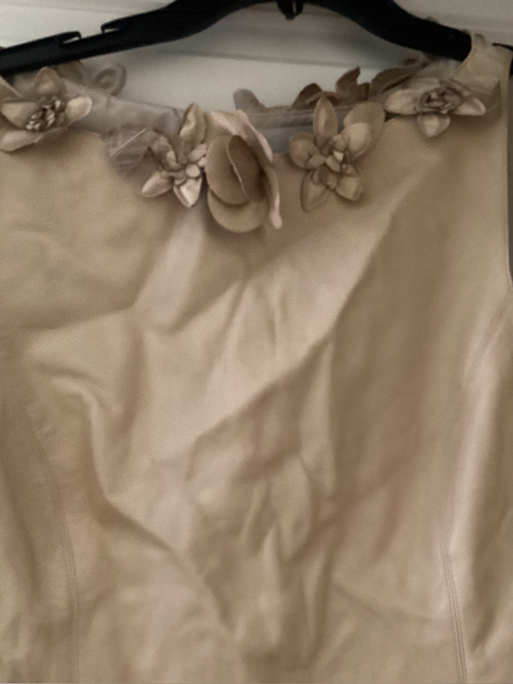Badgley Mischka Champagne Floral Appliqué Sleeveless Tank